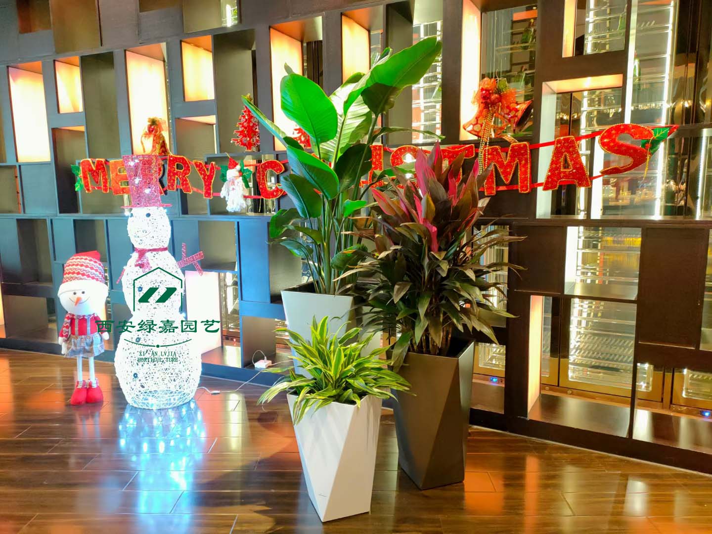 酒店花卉绿植租赁