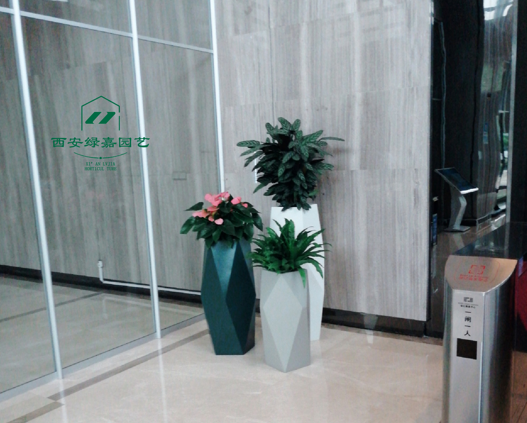 绿植租赁：西安办公室的环保新时尚