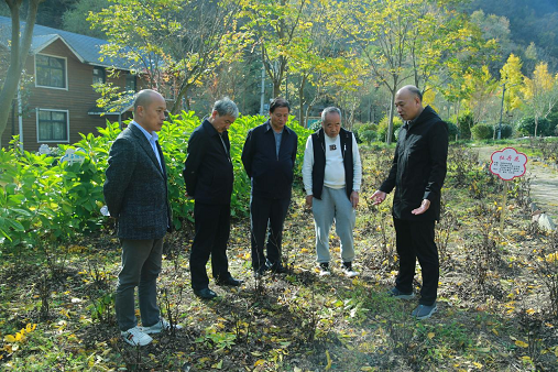 陕西省花卉协会——乡村振兴帮扶在行动