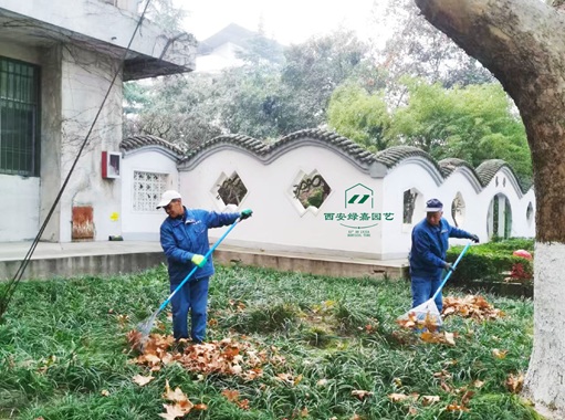 西安校区绿化养护公司|西安绿嘉园艺 西安校区绿化养护公司|西安绿嘉园艺