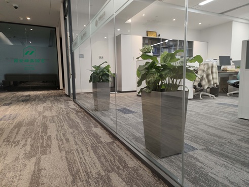 西安花卉租赁公司|西安绿嘉园艺