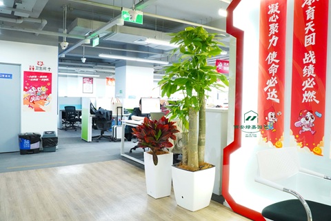 西安办公室绿植租赁|西安绿嘉园艺