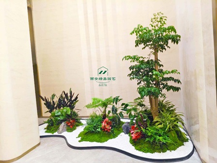 西安绿植租赁|西安绿嘉园艺更换绿植，为您保驾护航