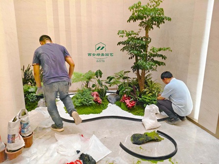 西安绿植租赁公司，推荐西安绿嘉园艺