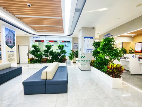 西安银行绿植租赁造景,推荐西安绿嘉园艺公司 西安银行绿植租赁造景,推荐西安绿嘉园艺公司