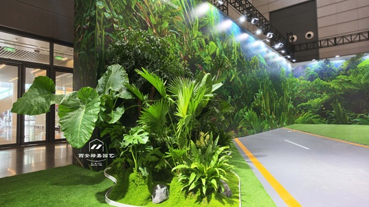 西安会展中心绿植租赁现场效果-西安绿嘉园艺 西安会展中心绿植租赁现场效果-西安绿嘉园艺